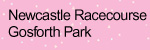 Newcastle Racecourse, Gosforth Parks